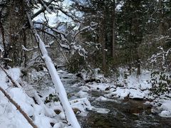 景点-毕棚沟景区