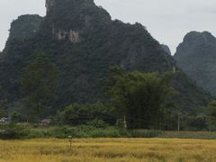 -明仕田园