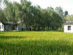 -溱湖国家湿地公园