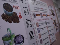 -珍妮曲奇聪明小熊(尖沙咀店)