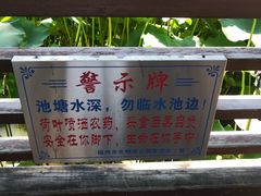 -光明港公园