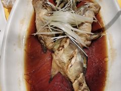 -胖大姐黄辣丁鱼庄(新津店)