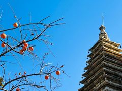 -北京石刻艺术博物馆(五塔寺)