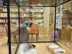 -袖虎猫馆(十亩地店)