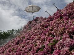 -苏州上方山国家森林公园