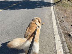 -南京市无想山景区