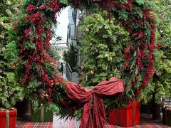 -The Grounds of Alexandria