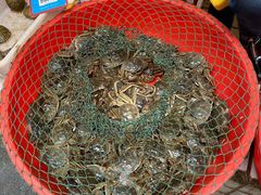 -青石桥市场北1-27号