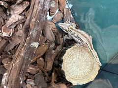 -万达广场(宜兴店)