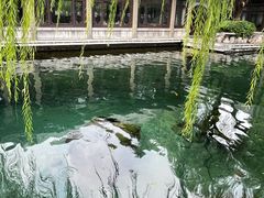 -趵突泉景区