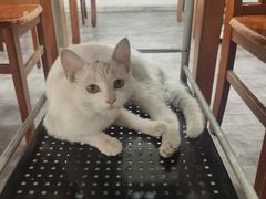 -岳合轩老北京涮肉