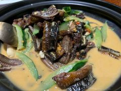 -坛宗剁椒鱼头(河西王府井店)