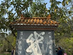 -靖西鹅泉风景区