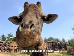 -济南野生动物世界