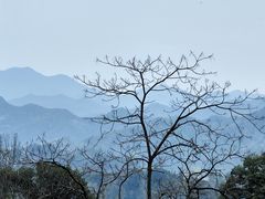 -石潭村