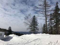 -大秃顶子山