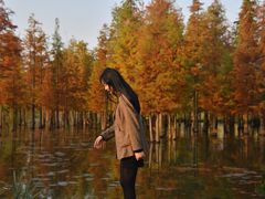 -白鹭湾湿地公园