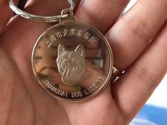 -爱侣宠医·鹦鹉专科·小型哺乳类·异宠专科(灵石路店)