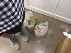 -珍妮曲奇聪明小熊(上环店)