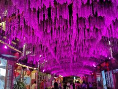 -婺源梦里老家大型山水实景演出