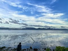 -深圳湾公园(南山区)
