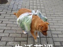 -Carmen卡门西班牙餐厅