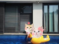-三亚亚龙湾雅高铂尔曼别墅度假酒店