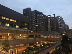 -香港大学