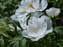 -河南省黄河迎宾馆