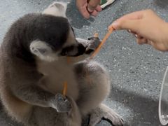 -海合安武汉极地海洋公园