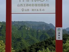 -王莽岭风景区