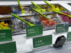 -Salud撒露欧洲冻酸奶(蓝色港湾店)