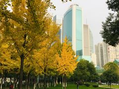 -西北湖绿化广场