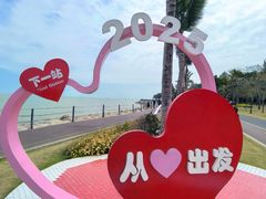 -野狸岛