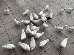 -人民广场