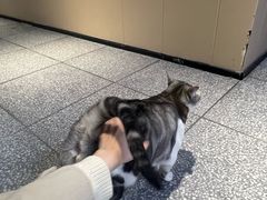 -谜盒子奇幻密室(南屏店)