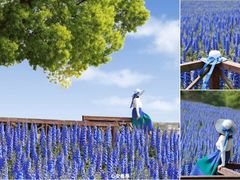 -广富林郊野公园