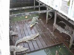 -洞里萨湖