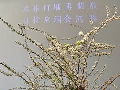 -沈灶河豚宴·河豚融合餐厅(汉中路店)