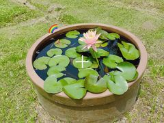 -花开海上生态园