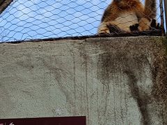 -杭州野生动物世界