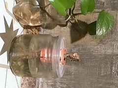 卫生间-鲜螺湾(鹏欣丽都店)