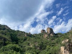 -大岭沟猕猴桃谷风景区
