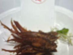 -新雅粤菜馆(南京东路店)