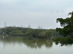 -江心屿景区