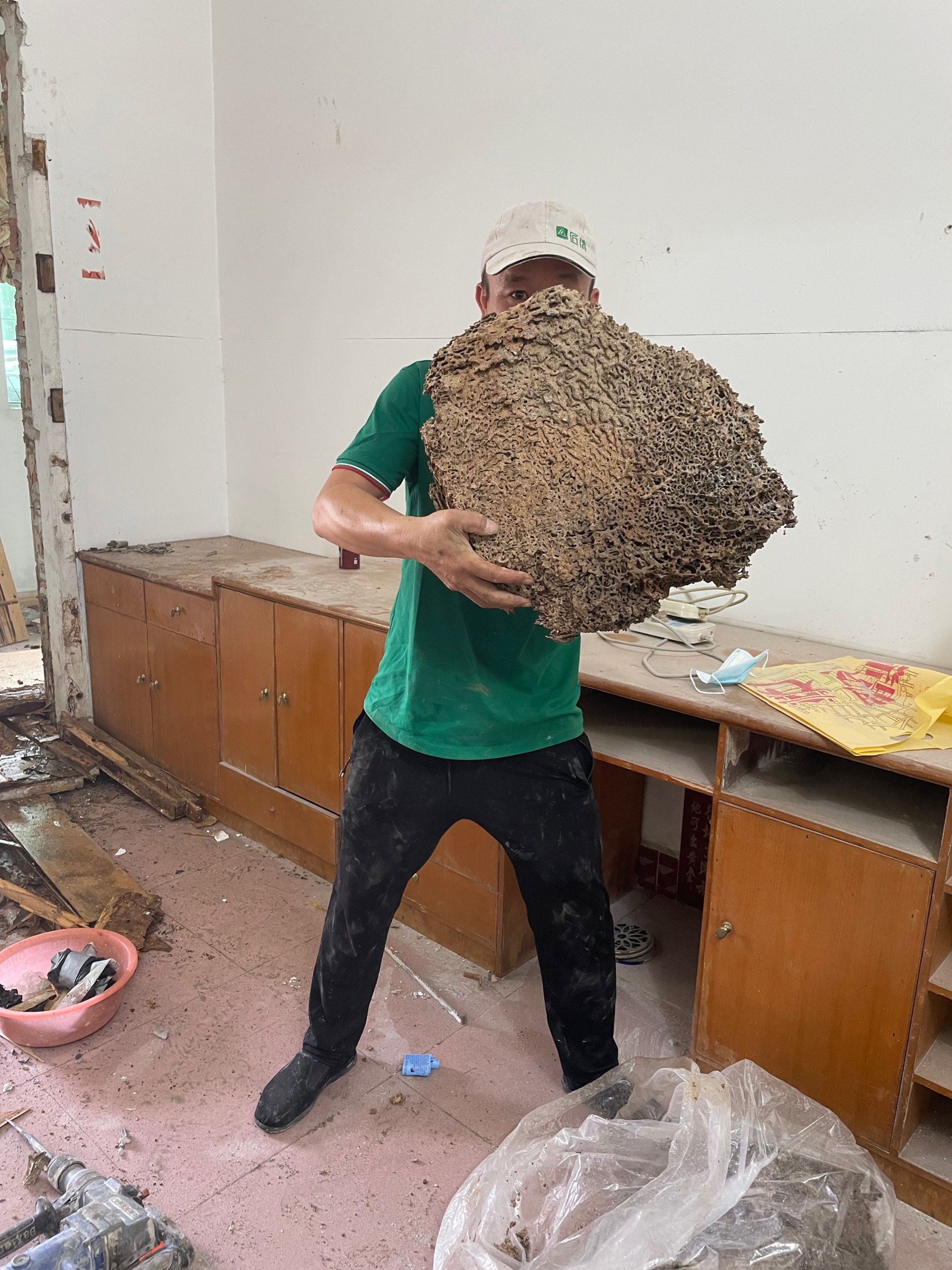 家具,钢筋,银器都不在话下,所以对白蚁一定要有防范之心,一旦在室内