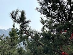 -崂山九水游览区