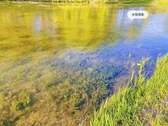 -东坝千亩湖公园