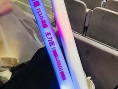 -南京奥林匹克体育中心-体育馆