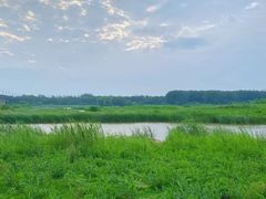 -西安浐灞国家湿地公园